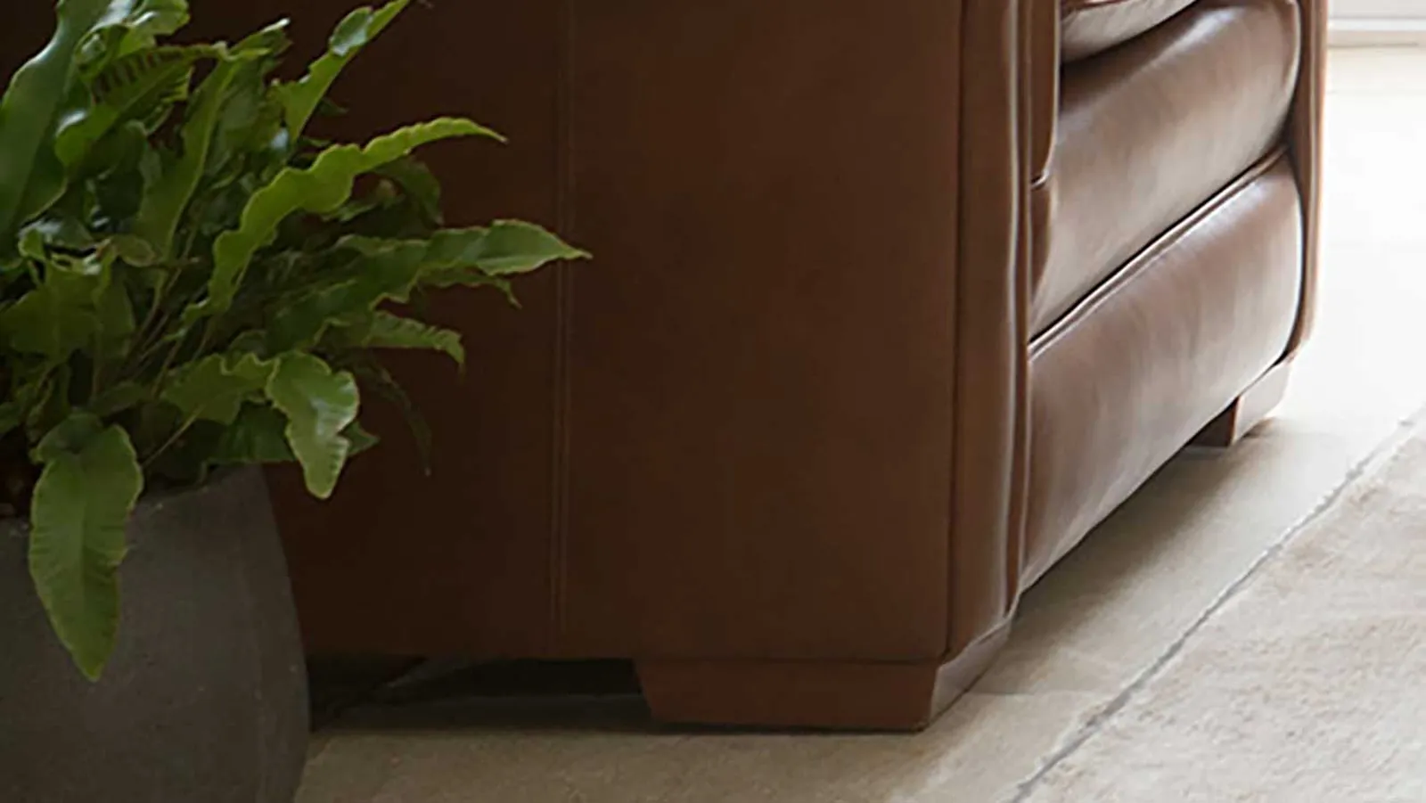 PK Canterbury FI4.Jpg 5E618